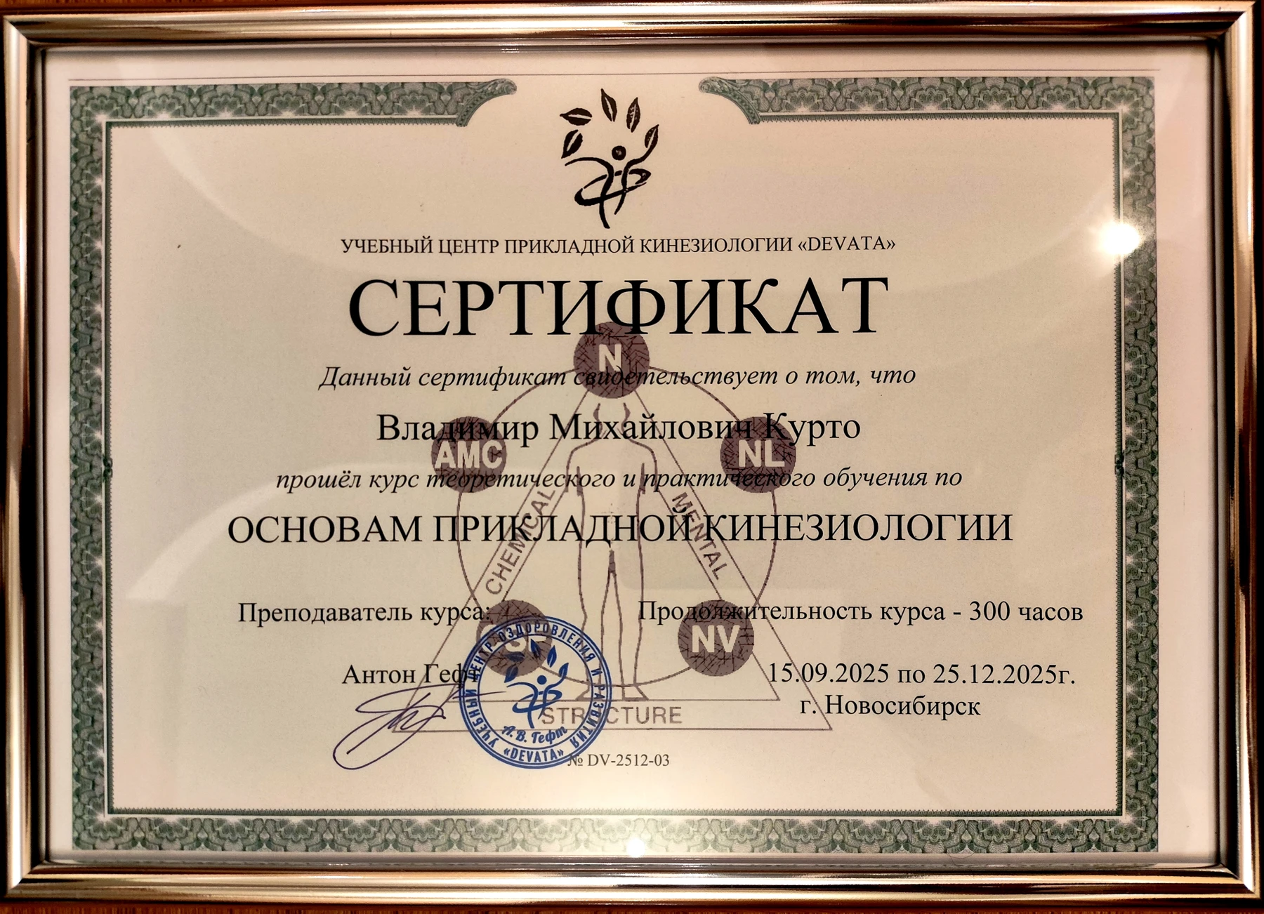 Сертификат Владимира Михайловича Курто: основы прикладной кинезиологии, DEVATA, 300 часов